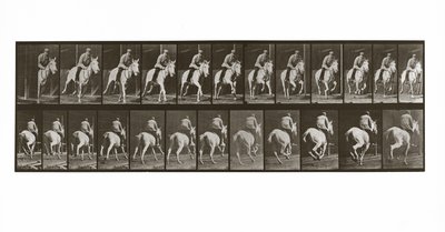 Galopperande häst med ryttare, skylt 635 från Animal Locomotion, 1887 av Eadweard Muybridge