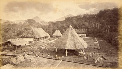 Hacienda William Nelson, San Isidro, Guatemala av Eadweard Muybridge