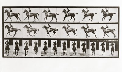 Häst och ryttare, skylt 621 från Animal Locomotion, 1887 av Eadweard Muybridge