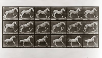 Häst på rockers och häst som rullar en tunna, skylt 649 från Animal Locomotion, 1887 av Eadweard Muybridge