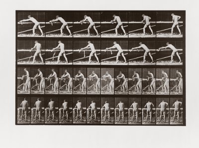 Man hyvlar ved, tavla 379 från Animal Locomotion, 1887 av Eadweard Muybridge