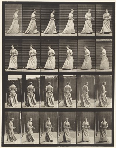 Plåt 100. Svängande och uppgående trappor, 1885 av Eadweard Muybridge