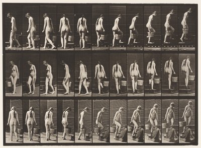 Plåt 102. Svängande och uppåtgående trappor, hinkvatten i Rt Hand, 1872-1885 av Eadweard Muybridge