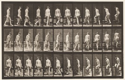 Tavla 104. Vändande och uppåtgående trappor, hinkvatten i varje hand, 1872-1885 av Eadweard Muybridge