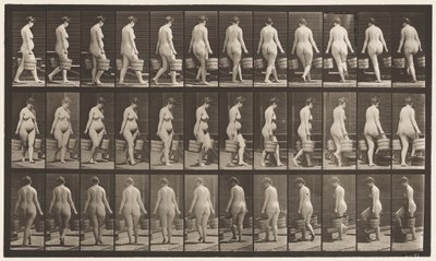 Tavla 106. Att vända sig för att gå uppför trappor, en hink med vatten i varje hand, 1872-1885 av Eadweard Muybridge