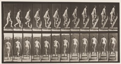 Tavla 109. Stigande stege, 1872-1885 av Eadweard Muybridge