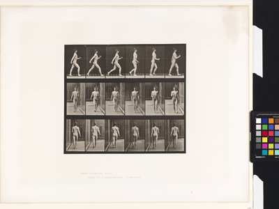 Tavla 10.Gå av Eadweard Muybridge
