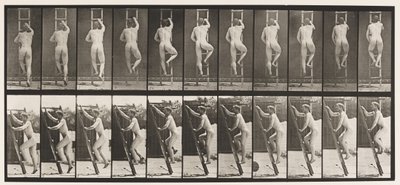 Plåt 111. Stigande stege av Eadweard Muybridge
