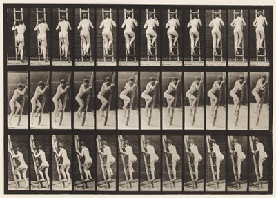 Tavla 112. Stigande stege av Eadweard Muybridge