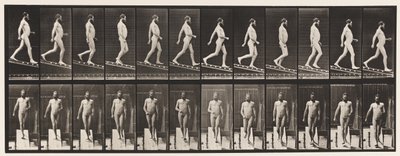 Plåt 113. Descending Incline, 1 på 4, 1872-1885 av Eadweard Muybridge