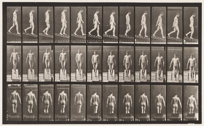 Plåt 114. Nedåtgående lutning, vinkel 1 på 4, 1872-1885 av Eadweard Muybridge