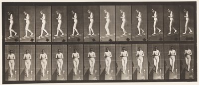 Plåt 115. Nedåtgående lutning med händerna knäppta fram av Eadweard Muybridge