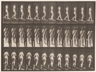 Tallrik 116. Nedåtgående lutning, en hand på hakan av Eadweard Muybridge