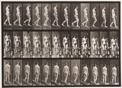 Plåt 117. Descending Incline, 1872-1885 av Eadweard Muybridge