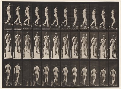 Skylt 119. Nedåtgående lutning, höger hand på bröstet (skor) av Eadweard Muybridge