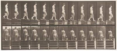 Plåt 120. Nedåtgående lutning, hink med vatten i höger hand, 1872-1885 av Eadweard Muybridge