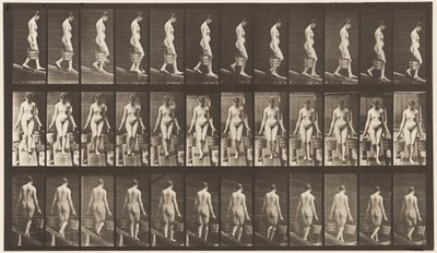 Tavla 121. Nedåtgående lutning, en hink med vatten i varje hand av Eadweard Muybridge