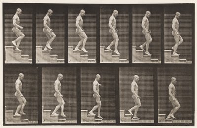 Tavla 126. Nedgående trappa av Eadweard Muybridge