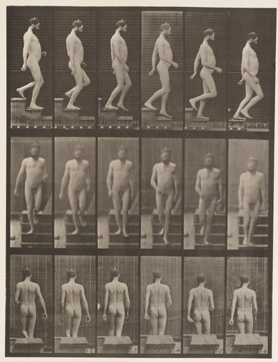 Tavla 127. Nedstigande trappor, 1872-1885 av Eadweard Muybridge