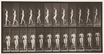 Tavla 128. Nedåtgående trappor, händerna knäppta, 1872-1885 av Eadweard Muybridge