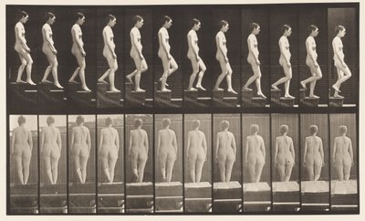 Tavla 129. Nedåtgående trappa, händerna knäppta av Eadweard Muybridge