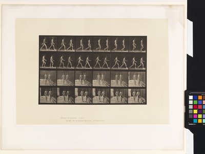 Plåt 12.Gå av Eadweard Muybridge