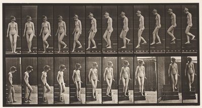 Tavla 137. Nedgående trappor, vänder sig om av Eadweard Muybridge