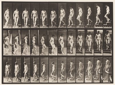 Tavla 138. Nedåtgående trappa Vändning; Kanna i vänster hand av Eadweard Muybridge