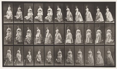 Tavla 139. Descending Stairs Turning, 1885 av Eadweard Muybridge
