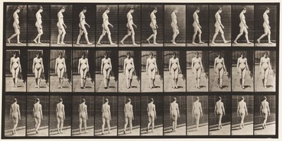 Plansch 13. Vandring, 1872-1885 av Eadweard Muybridge