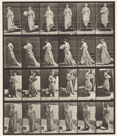 Tallrik 141. Nedgångstrappa och flirtande fläkt av Eadweard Muybridge