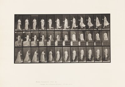 Tallrik 143. Nedåtgående lutning, vändkopp och fat i höger hand av Eadweard Muybridge