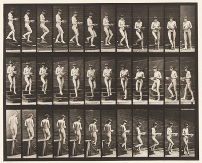 Tavla 144. Nedgångstrappa; Vändbassäng i händerna av Eadweard Muybridge