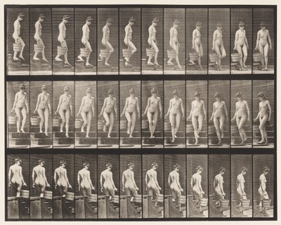 Tavla 145. Nedgångstrappa; Att vända hinkvatten i höger hand, 1872-1885 av Eadweard Muybridge