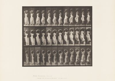 Plåt 146. Nedförsbacke, vänd vattenburk på vänster axel av Eadweard Muybridge
