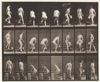 Tavla 150. Nedgångstrappa; Böjning, lyftande kanna, svarvning, 1872-1885 av Eadweard Muybridge