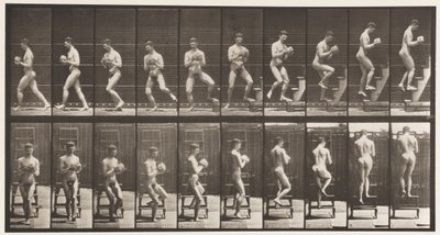 Tavla 151. Nedstigande stege, vända sig om, sten i händerna, 1872-1885 av Eadweard Muybridge