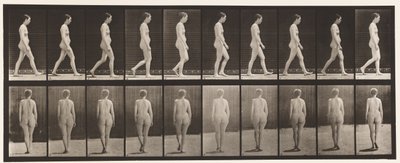 Tallrik 15. Promenader av Eadweard Muybridge
