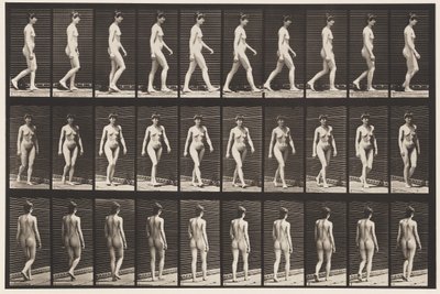 Plansch 16. Vandring, 1872-1885 av Eadweard Muybridge