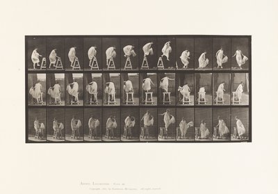 Tavla 172. Att trampa på en bock; Hoppa ner, vända, 1885 av Eadweard Muybridge
