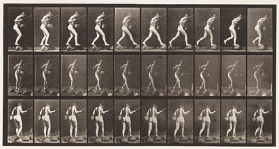 Tavla 176. Korsande bäck på trappstenar med fiskestång och korg av Eadweard Muybridge