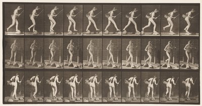 Tavla 177. Korsande bäck på trappstenar med fiskestång och korg av Eadweard Muybridge