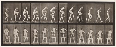 Tallrik 178. Att trampa på och över en bock av Eadweard Muybridge