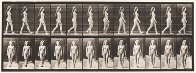 Plansch 17. Vandring, 1872-1885 av Eadweard Muybridge