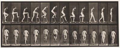 Tallrik 180. Att kliva på och över en stol av Eadweard Muybridge