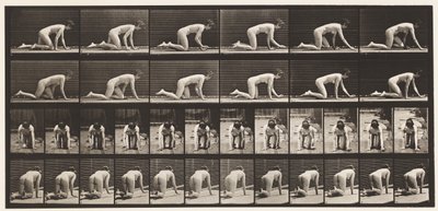 Tallrik 182. Krypande på händer och knän av Eadweard Muybridge
