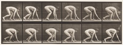 Plåt 183. Gå på händer och fötter av Eadweard Muybridge