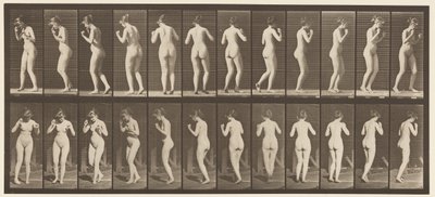 Tallrik 195. Dansvals av Eadweard Muybridge