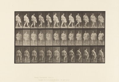 Plåt 19. Går, börjar vända av Eadweard Muybridge