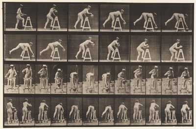 Tallrik 203. Böjer sig över en bock med vattenburk av Eadweard Muybridge